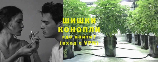хмурый Покачи